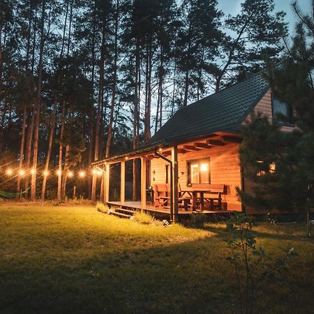 Lesna 21 Dom Poludnie Przy Puszcza Bialowieska Luka Экстерьер фото