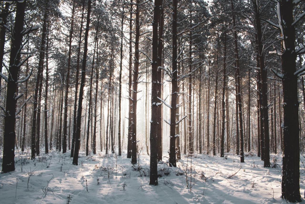 Lesna 21 Dom Poludnie Przy Puszcza Bialowieska Luka Экстерьер фото